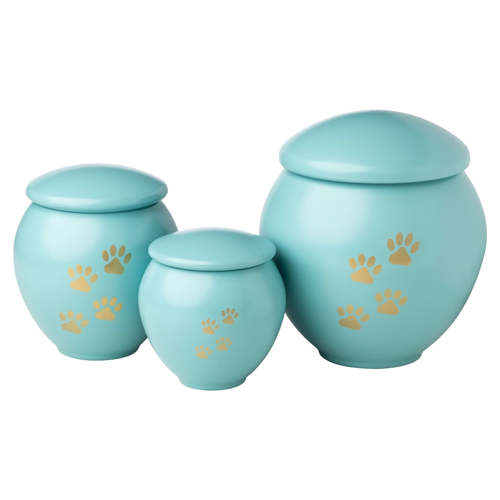 Paw Scan Photo — White