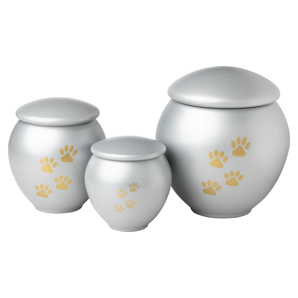 Paw Scan Small — Black