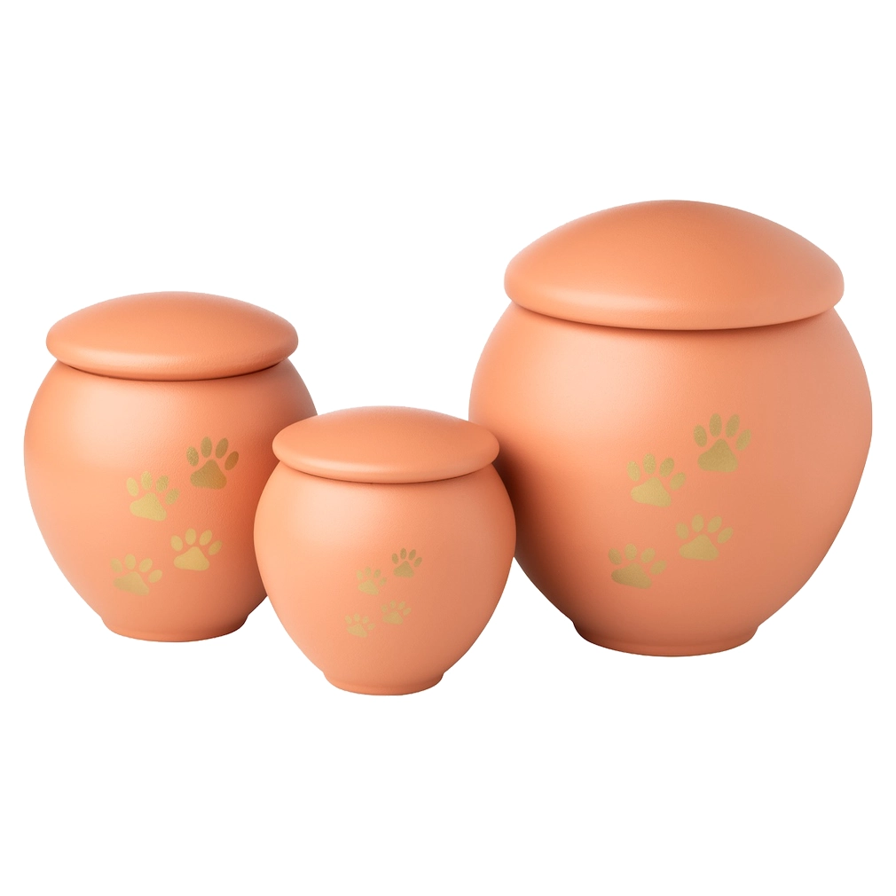Paw Scan Small — White